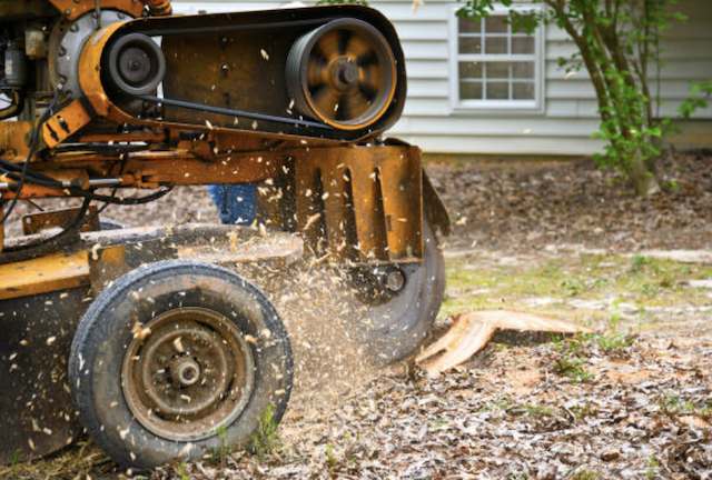 stump grinding middlesex